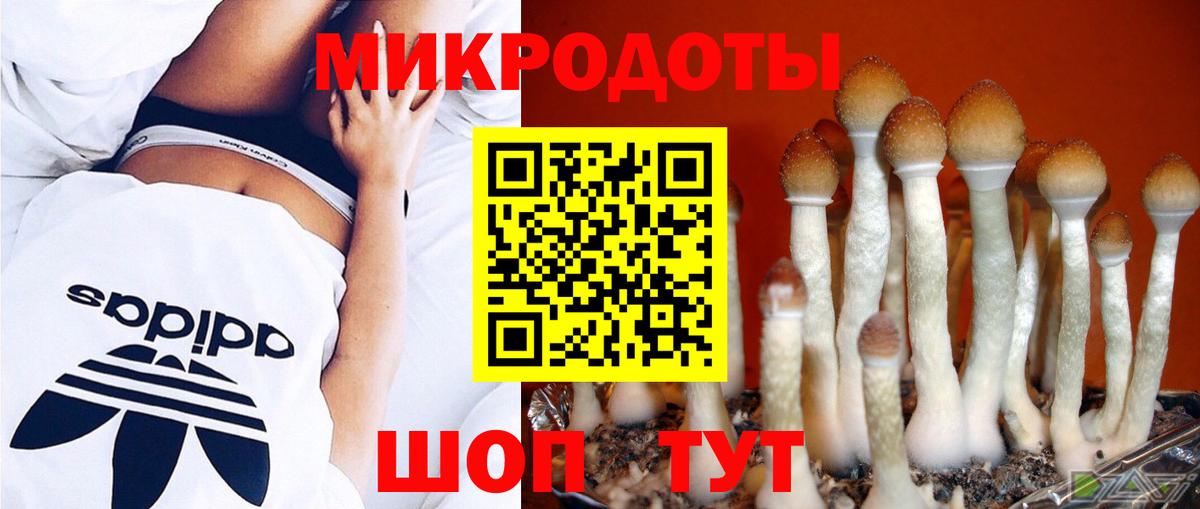 Псилоцибиновые грибы MAGIC MUSHROOMS  Псилоцибиновые грибы GOLDEN TEACHER  Оренбург  Вход с VPN 